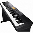 Купить Цифровое фортепиано Casio CDP-230RBK в интернет магазине