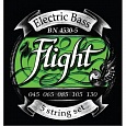 Струны для 5-ти струнной бас-гитары Flight BN4530-5 купить в интернет магазине