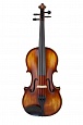 Скрипка 4/4 Prima P-300 купить в интернет магазине
