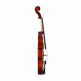 Скрипка 1/2 Prima P-200 купить в интернет магазине