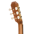 Классическая гитара Prudencio Classical Initiation 008 купить в интернет магазине