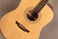 Акустическая гитара FLIGHT AD-200 NA LH купить в интернет магазине