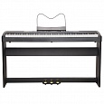 Купить Цифровое фортепиано Ringway RP-35 Black в интернет магазине