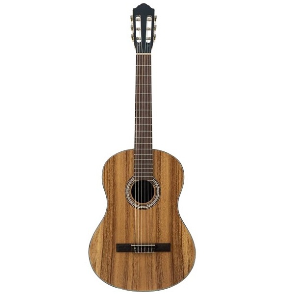 Классическая гитара FLIGHT C-110 AC 4/4 купить в интернет магазине