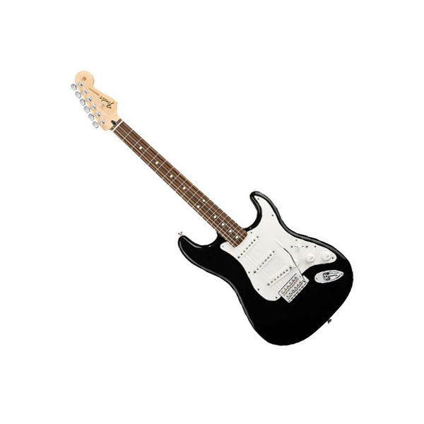 Электрогитара FENDER Standard Stratocaster RW Black Tint купить в интернет магазине