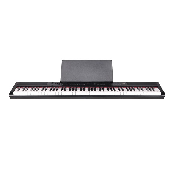 Купить Цифровое фортепиано Artesia PE-88 Black в интернет магазине