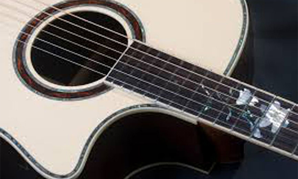 Электроакустическая гитара CRAFTER WF-Rose Plus купить в интернет магазине