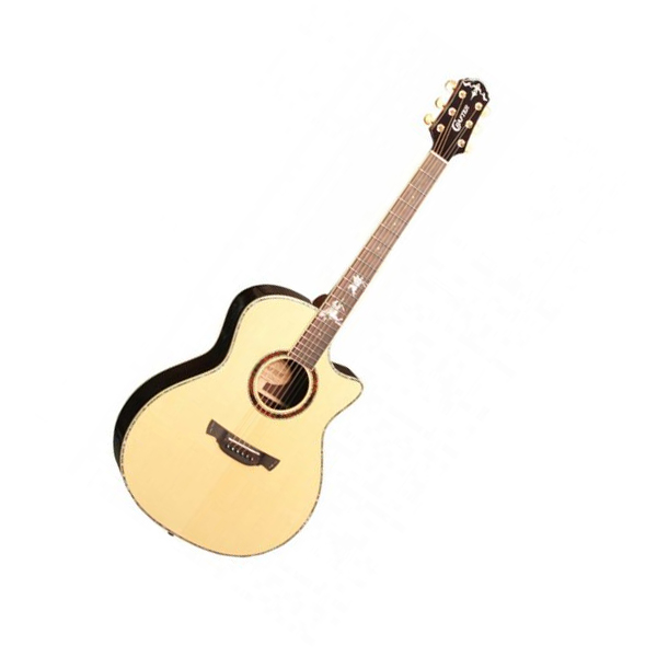 Электроакустическая гитара CRAFTER PG-Rose Plus купить в интернет магазине