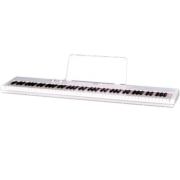 Купить Цифровое фортепиано Artesia PE-88 White в интернет магазине
