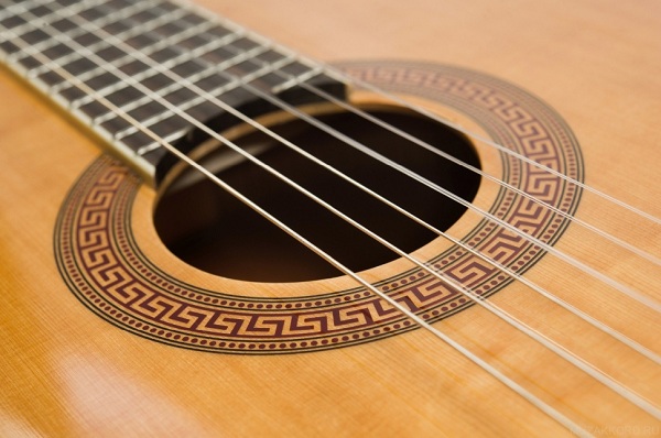 Классическая гитара VIRGINIA V-C17 купить в интернет магазине