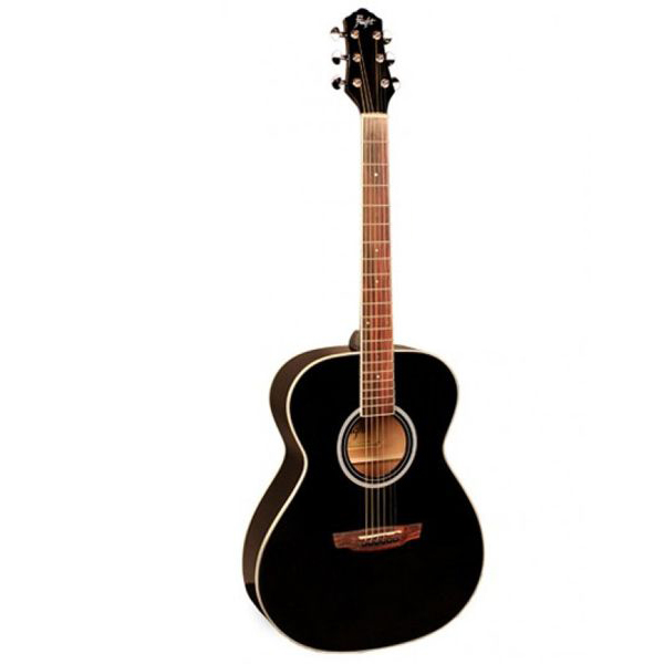 Акустическая гитара FLIGHT AG-210 BK купить в интернет магазине