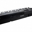 Купить Синтезатор Casio WK-6600 в интернет магазине