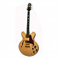 Полуакустическая гитара JET UAS 830N купить в интернет магазине