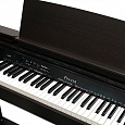 Купить Цифровое фортепиано Casio Privia PX-860BN в интернет магазине