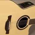 Электроакустическая гитара CRAFTER CB-Rose Plus купить в интернет магазине