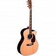 Гитара SIGMA JRC-40E купить в интернет магазине