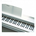 Купить Цифровое фортепиано Casio Privia PX-870WE в интернет магазине