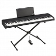 Купить Компактное цифровое фортепиано Korg B2N в интернет магазине