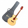 Электроакустическая гитара CRAFTER GAE-9/N купить в интернет магазине