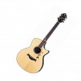 Электроакустическая гитара CRAFTER TB-Rose Plus купить в интернет магазине