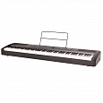 Купить Цифровое фортепиано Ringway RP-25 в интернет магазине