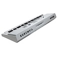 Купить Синтезатор Kurzweil KP110 WH в интернет магазине