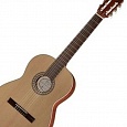 Классическая гитара PRO ARTE GC 242 II купить в интернет магазине