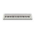 Купить Облегчённое пианино Casio CT-S1WE в интернет магазине