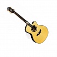 Электроакустическая гитара CRAFTER SM-Rose Plus купить в интернет магазине