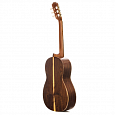 Классическая гитара Prudencio Classical Initiation 012 купить в интернет магазине