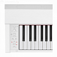 Купить Цифровое фортепиано Casio Privia PX-870WE в интернет магазине