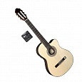 Электроакустическая гитара VGS R-10 CE Rose Natural Gloss Satin Neck купить в интернет магазине