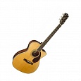 Электроакустическая гитара FENDER PM-3 Standard Triple-0 Natural купить в интернет магазине